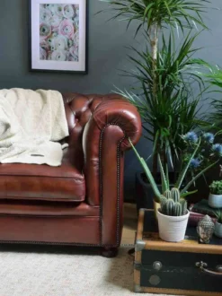 Chesterfield Sessel