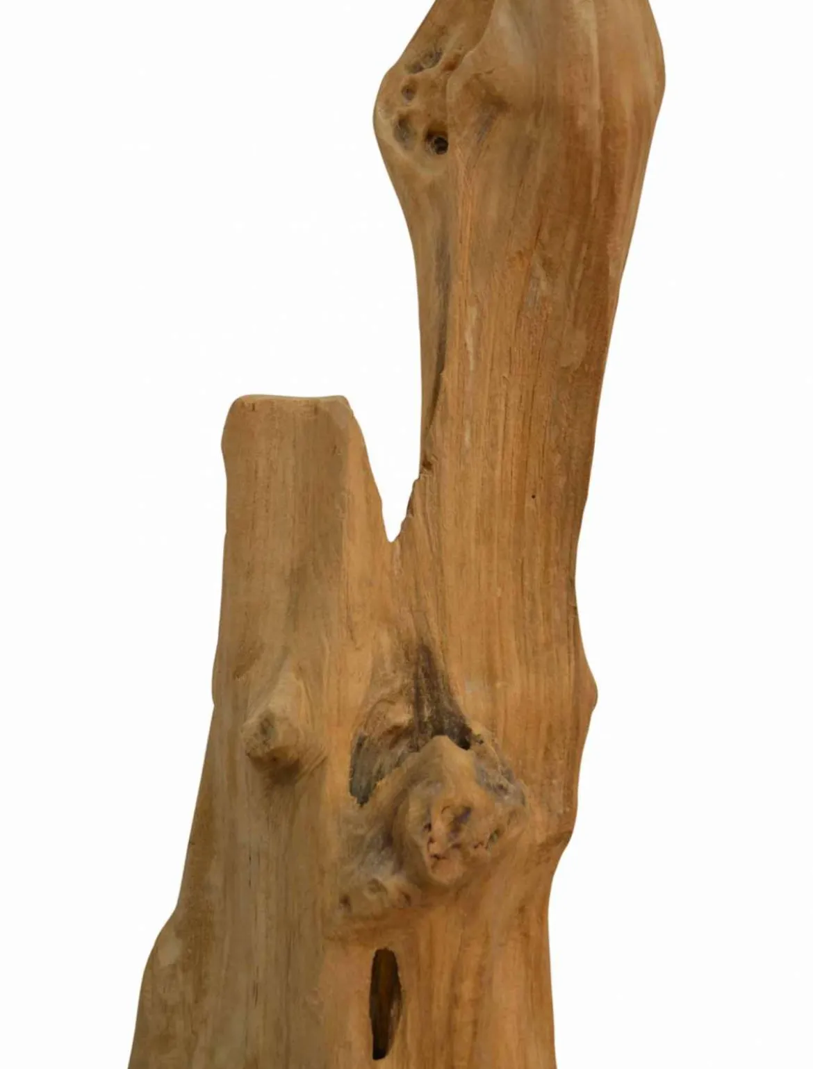 Deko Teakholz Ast massiv 50-69 cm