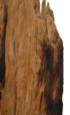Deko Teakholz Ast massiv 90-100 cm