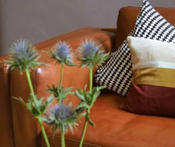 Modern Style Ledersofa Manhattan