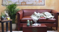 Roundy Sofa