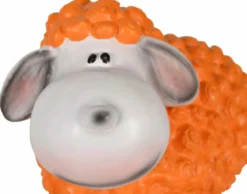 Schaf orange