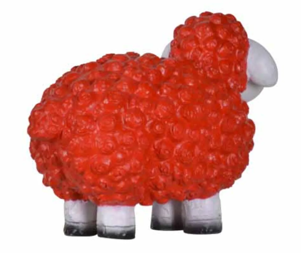 Schaf rot