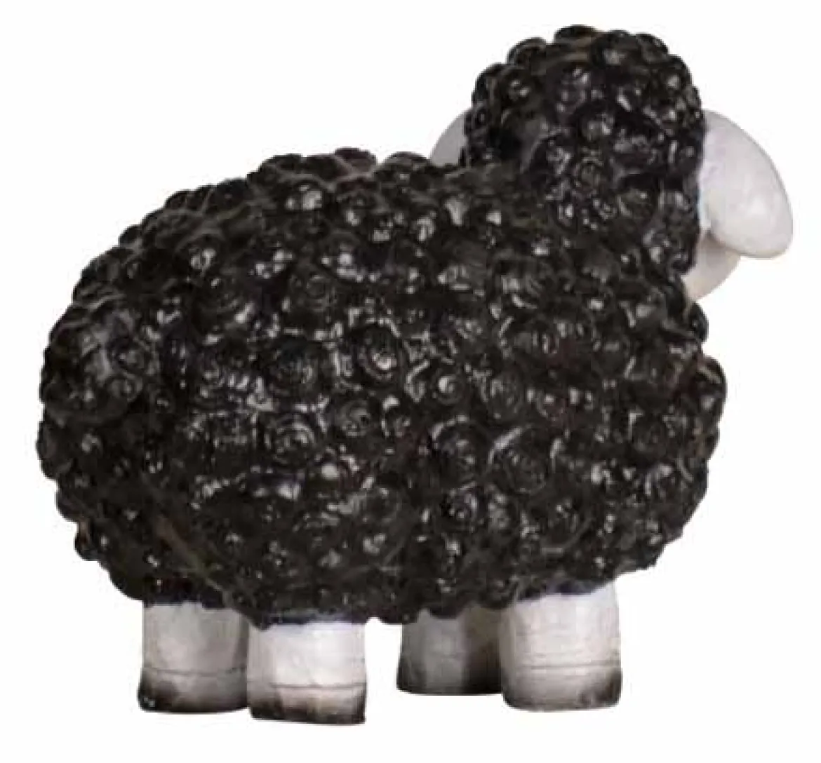Schaf schwarz