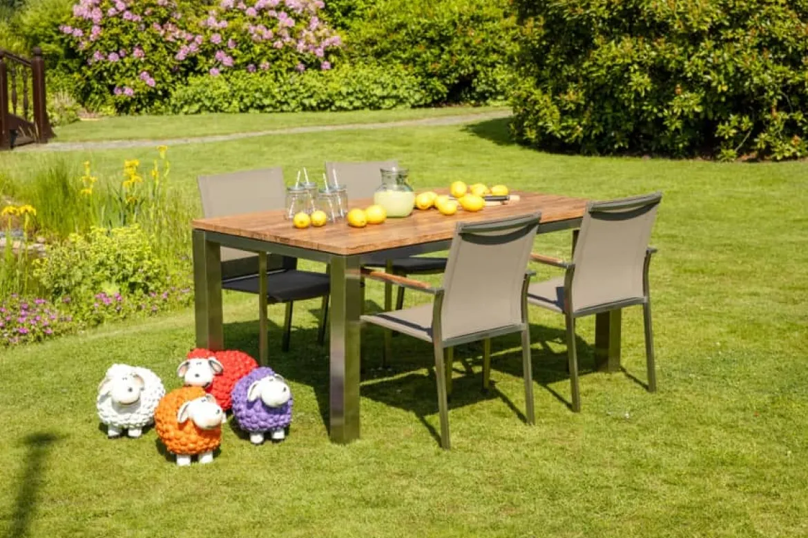 Schaf schwarz