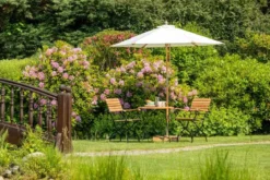 Sonnenschirm creme Sunshine Style 300 cm
