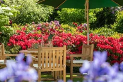 Teak Ausziehtisch rund Rondo
