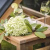 Teak Beistelltisch Brighton