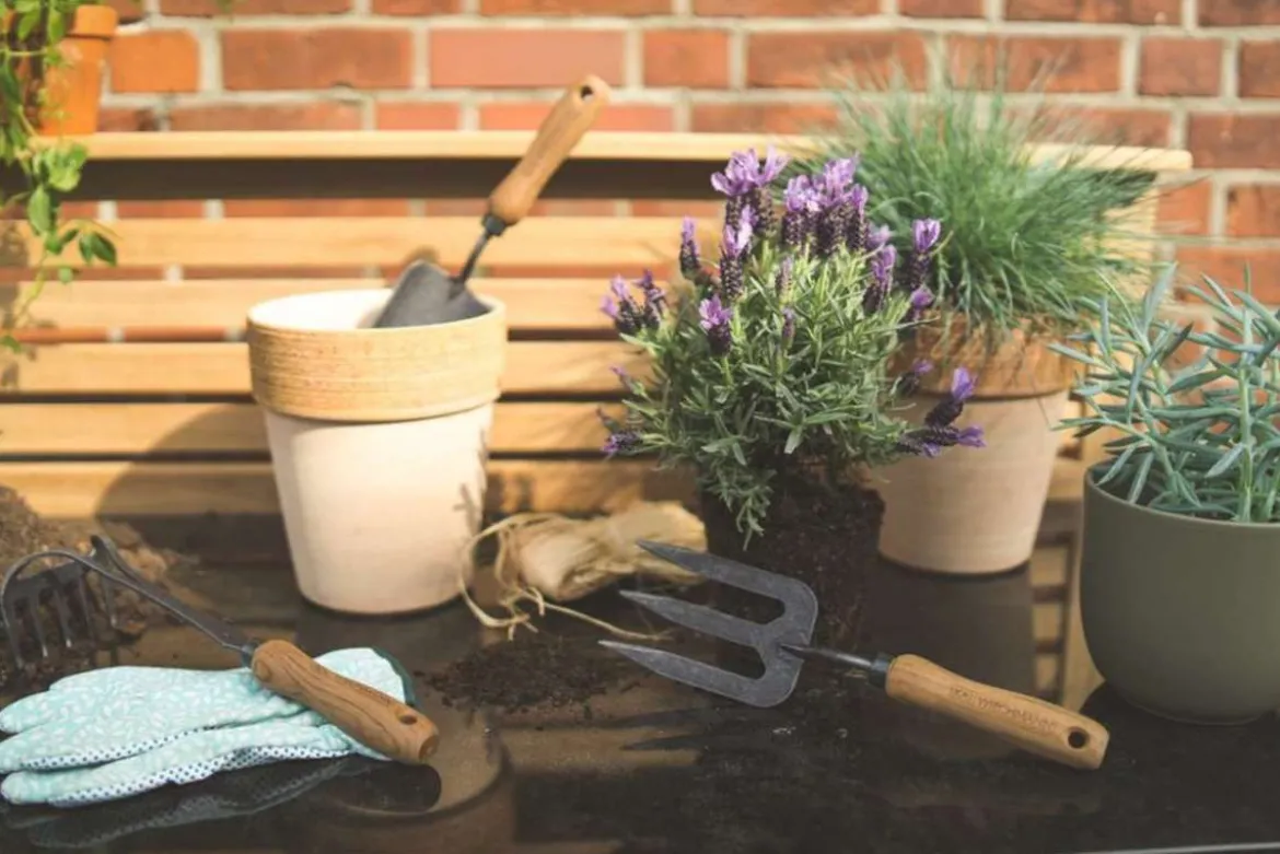 Teak Gartenwerkzeug 3er Set Bari